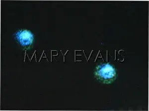 Arendal: UFOS/ARENDAL NORWAY