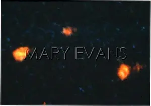 Arendal: UFOS/ARENDAL NORWAY