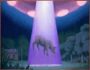 Michael Buhler Collection: UFOS/CATTLE MUTILATION
