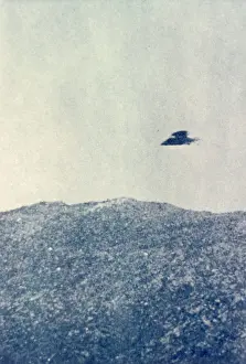 Tossed: UFOs: Marquand