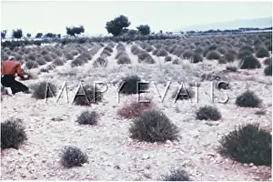 Masse: UFOS/MASSE / VALENSOLE