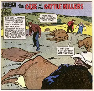 Reported: UFOS/MISSOURI CATTLE