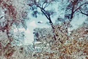 Occupants: UFOS/NEW MEXICO / VILLA