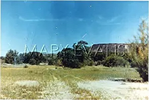 Coma: UFOS/NEW MEXICO / VILLA