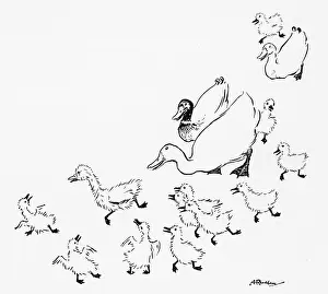 Andersen: Ugly Duckling 1