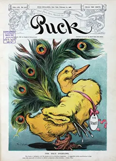 Statesmanship: The ugly duckling