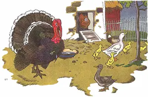 Writings: Ugly Duckling Rejected