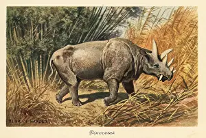 Tiere Der Urwelt: Uintatherium anceps in a jungle clearing