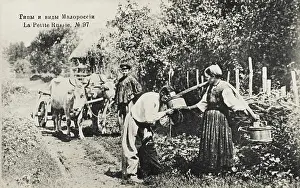 Ukrainians: Ukrainian village scene