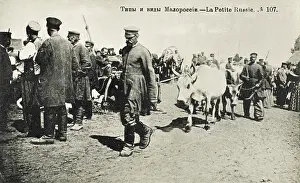 Ukrainians: Ukrainians with oxen