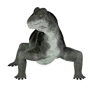 Synapsid: Ulemosaurus prehistorica animal from the Permian