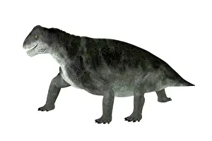 Synapsid: Ulemosaurus prehistorica animal from the Permian