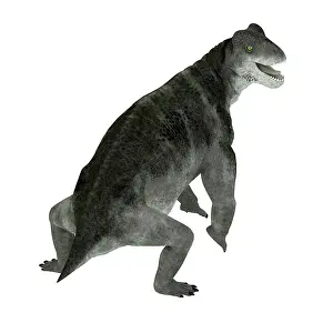 Synapsid: Ulemosaurus prehistorica animal from the Permian