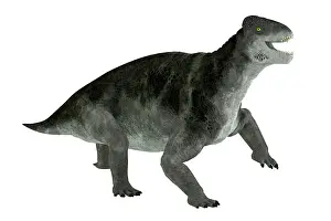 Synapsid: Ulemosaurus prehistorica animal from the Permian