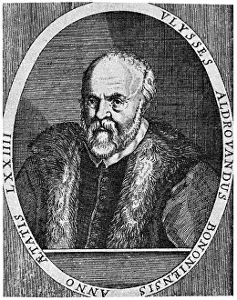 Aldrovandi: Ulisse Aldrovandi