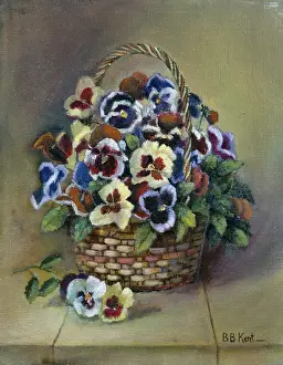 Bernadette: ulti Coloured Pansies in a Basket