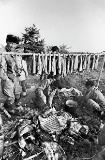 Breeders: Ulty, Sakhalin reindeer breeders, 1993
