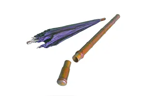 Silky: Umbrella cane