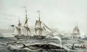 Iziko: The Uncas in Table Bay, circa 1830