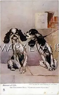 Restraint: UNCHAINED SPANIEL