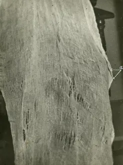 Rents: Undated photograph of enlarged portion of ?ectoplasm?