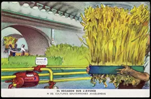 Accelerated: UNDERGROUND HARVESTING