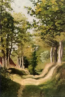 Vallotton: Undergrowth