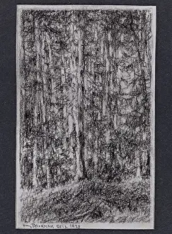 Charcoal: Undergrowth