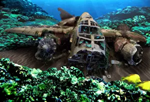 Wal003: Undersea Wreckage Of Wwii Japanese