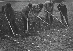 Taught: Unemployed people in a camp of the Voluntary Labor Service