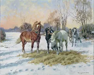 Unexpected: An Unexpected Treat ' horses in the snow