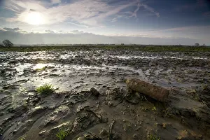 Passchendaele: An unexploded shell lies amidst the mud of Passchendaele