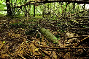 Ammunition: Unexploded shell in a woodland setting - Somme battlefield