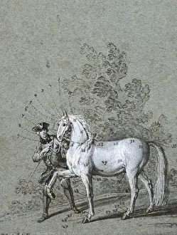 Ridinger: The unflawed figure of a horse