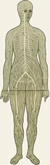 Unfolding: Unfolding female anatomy