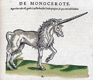 Goodness: Unicorn