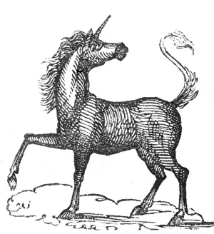 Unicorn: Unicorn
