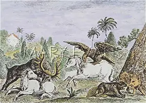 Unicorns: UNICORN ETC
