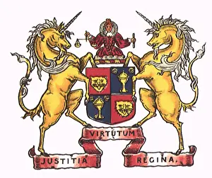 Unicorn: Unicorn Arms