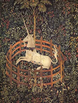 Unicorn: The Unicorn in Captivity