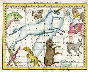 Flamsteed: Unicorn and Dog