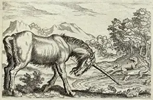 Unicorns: Unicorn - Reptiles