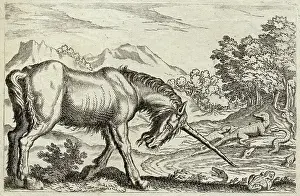 Alligator: Unicorn - Reptiles