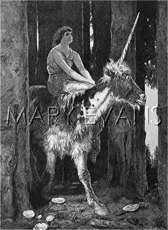 Unicorns: UNICORN AND RIDER