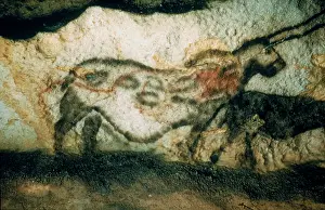Lascaux: Unicorn, rock painting from the
