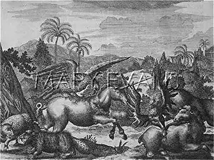 Unicorns: UNICORN/THEODOR DE BRY