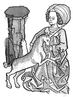 Unicorn: Unicornus varius, 1491