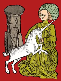 Unicorn: Unicornus varius, 1491