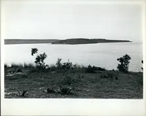 Argolis: United Kingdom - Ireland