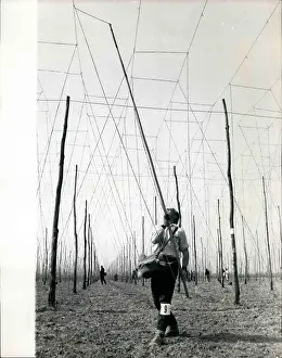 Weave: United Kingdom - Ireland